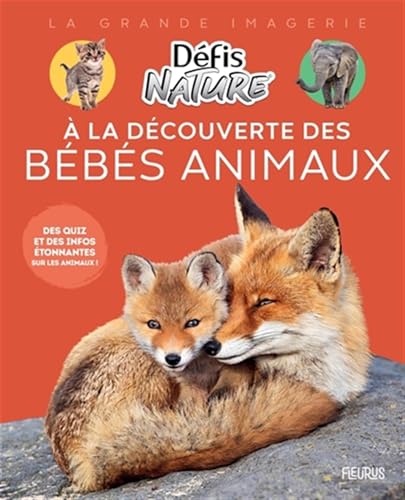 À la découverte des bébés animaux